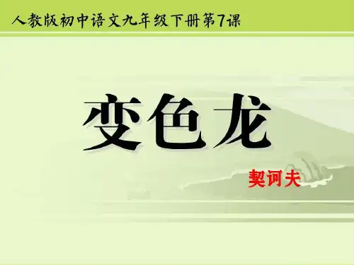《变色龙》PPT课件
