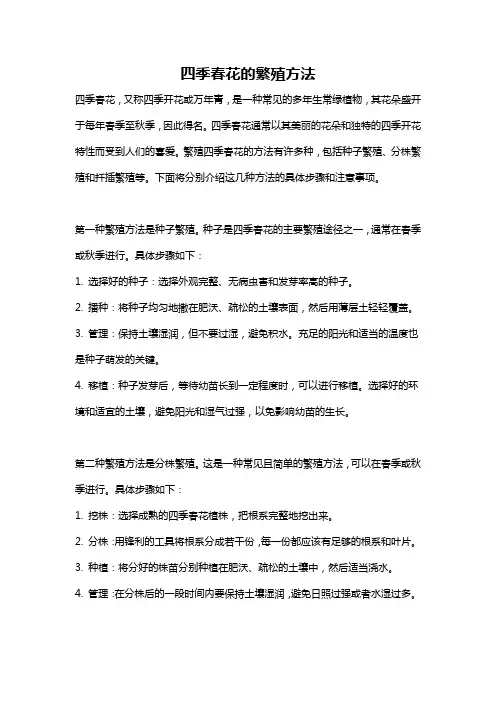 四季春花的繁殖方法