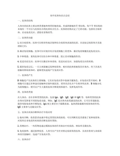 初中抗体知识点总结