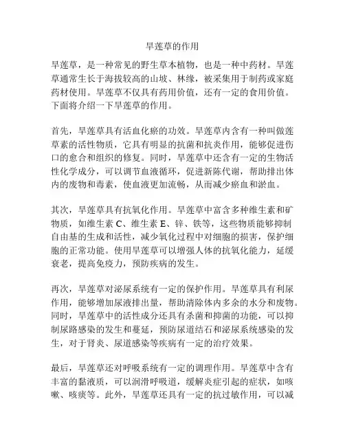 旱莲草的作用