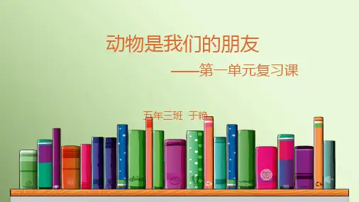 动物是我们的朋友复习课件