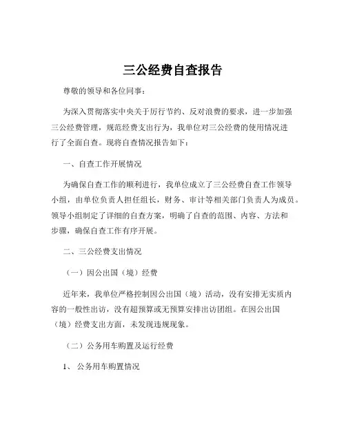 三公经费自查报告