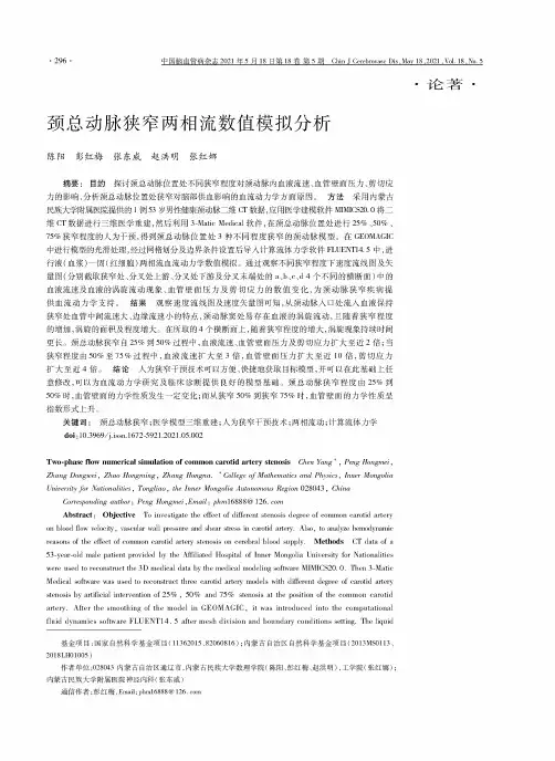 颈总动脉狭窄两相流数值模拟分析