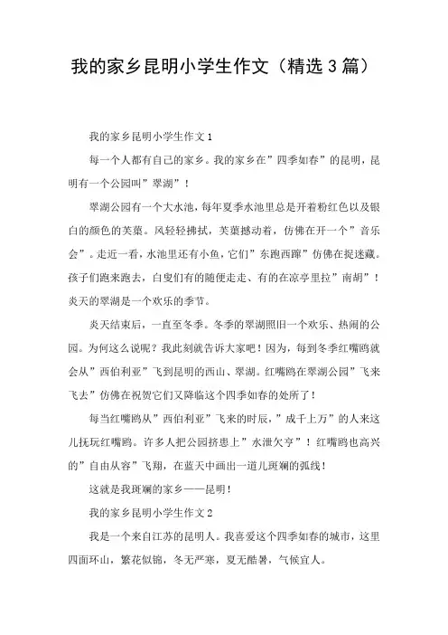 我的家乡昆明小学生作文(精选3篇)