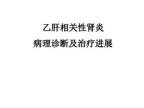 乙肝相关性肾炎的病理诊断及治疗进展ppt课件