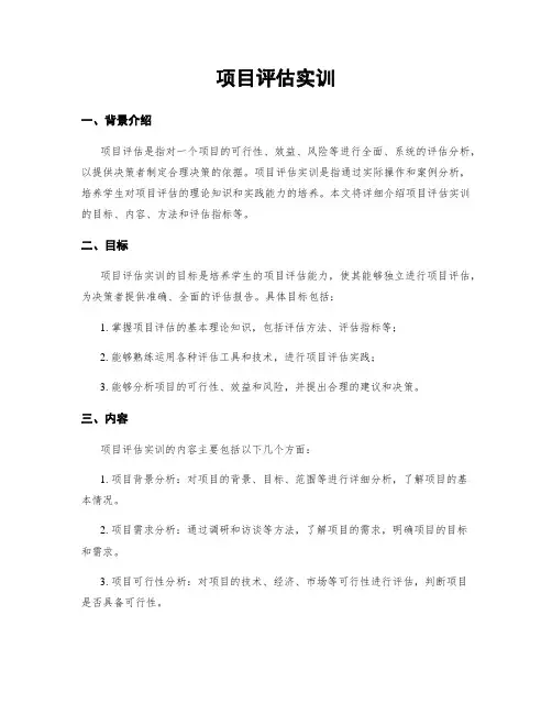 项目评估实训