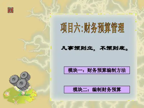 财务预算管理(PPT26页).pptx