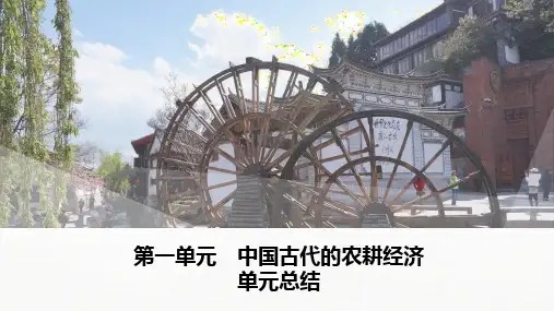 历史必修二：单元总结：第一单元  中国古代的农耕经济