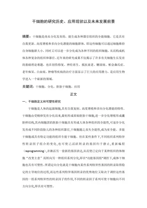 干细胞综述