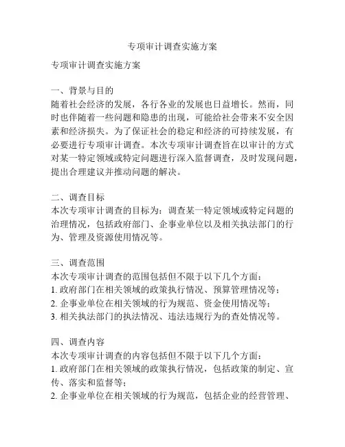 专项审计调查实施方案