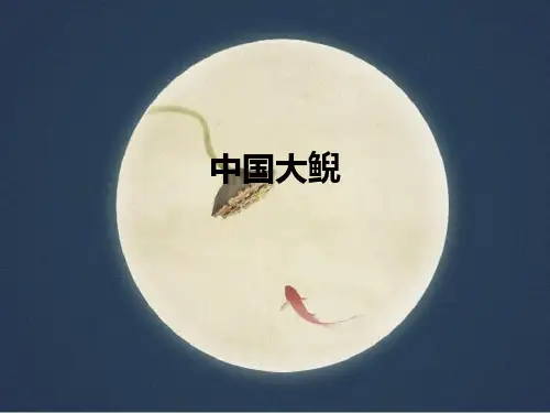 中国大鲵ppt课件
