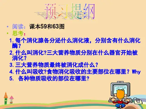 七年级生物食物消化吸收的过程PPT优秀课件
