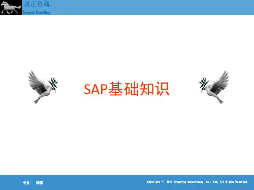 SAP基础知识介绍