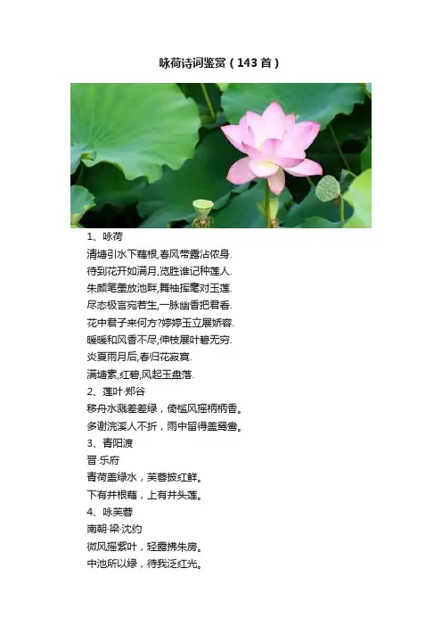 咏荷诗词鉴赏（143首）