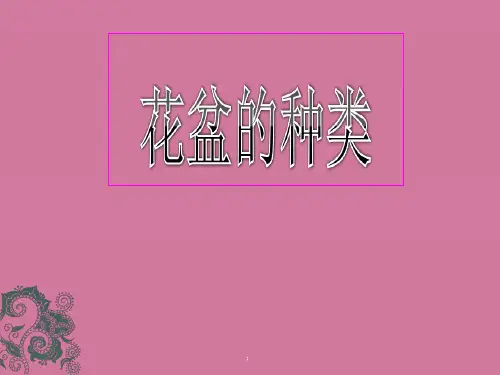 花盆的种类及特点ppt课件