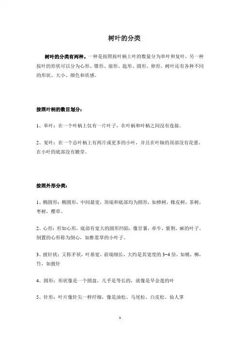 树叶的分类