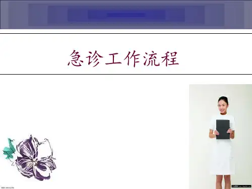 急诊工作流程 ppt课件