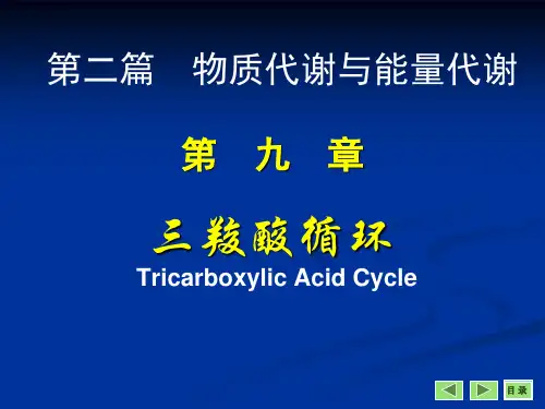 三羧酸循环专题知识