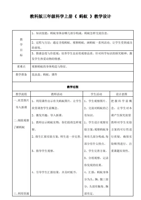 教科版三年级科学上册《蚂蚁》教学设计