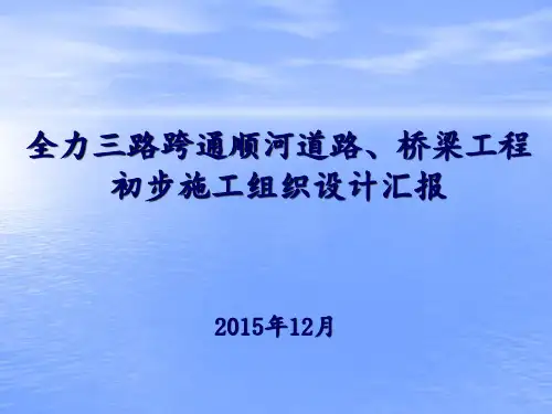 现浇箱梁初步施工组织设计 ppt课件