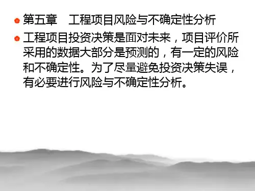 风险与不确定性PPT课件