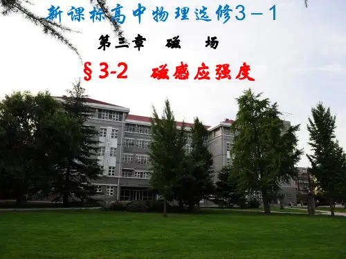 选修3-1  3.2 磁感应强度(新)  LI