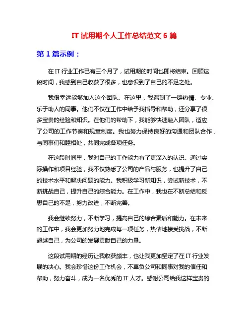 IT试用期个人工作总结范文6篇