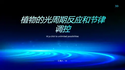 植物的光周期反应和节律调控