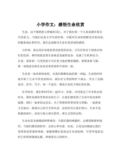 小学作文：感悟生命欣赏