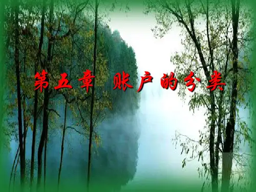05-第五章 账户的分类