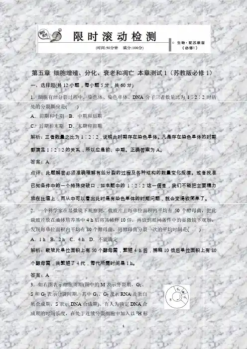 高中生物第五章细胞增殖、分化、衰老和凋亡本章测试1(苏教版必修1)