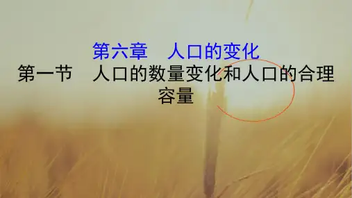 2020版高考地理总复习人教通用课件：第六章 人口的变