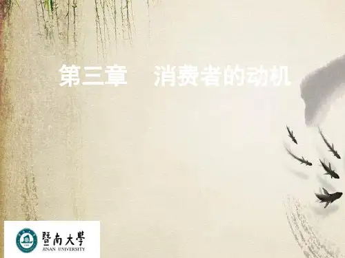 消费者的需要与动机(ppt 30页)