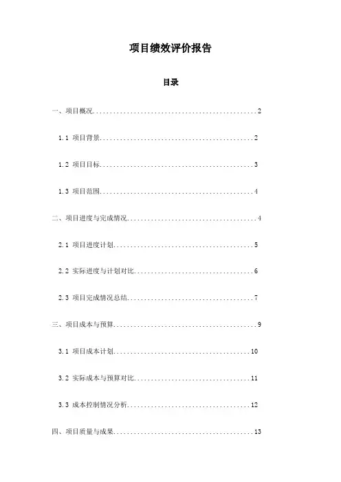 项目绩效评价报告