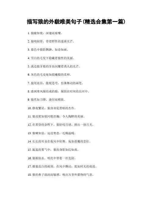 描写狼的外貌唯美句子(精选合集两篇)