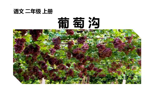 新统编版小学语文二年级上册《葡萄沟》教学课件