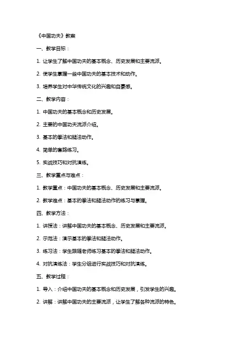 《中国功夫》教案