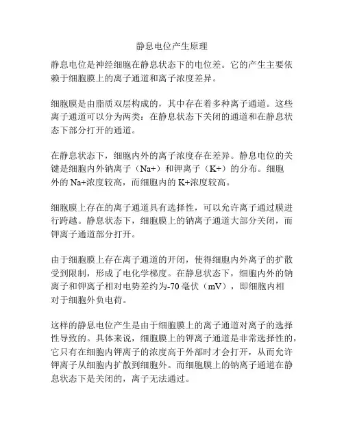 静息电位产生原理