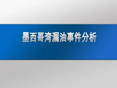 墨西哥湾油泄漏事件案例分析
