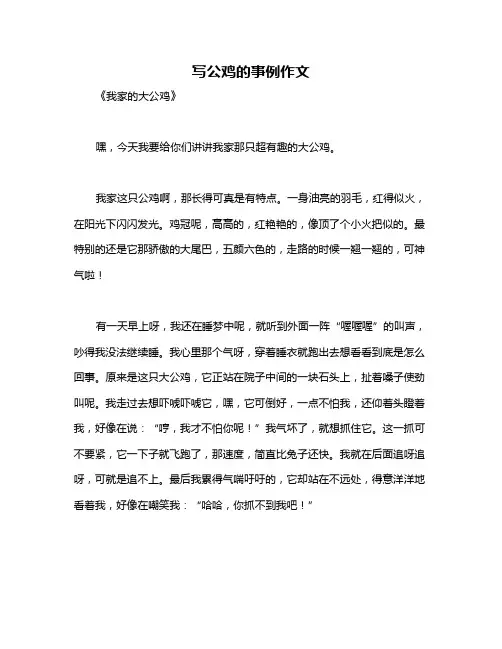 写公鸡的事例作文