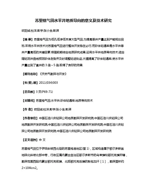 苏里格气田水平井地质导向的意义及技术研究