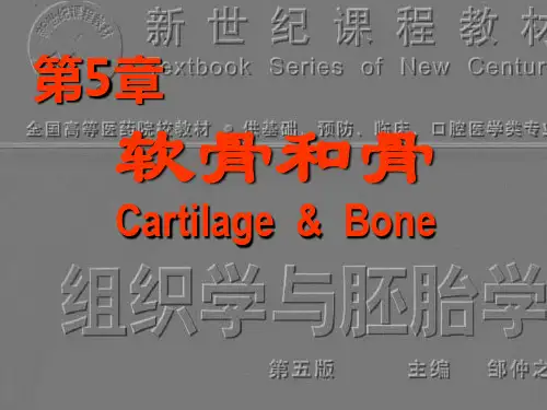 组织学与胚胎学之软骨和骨