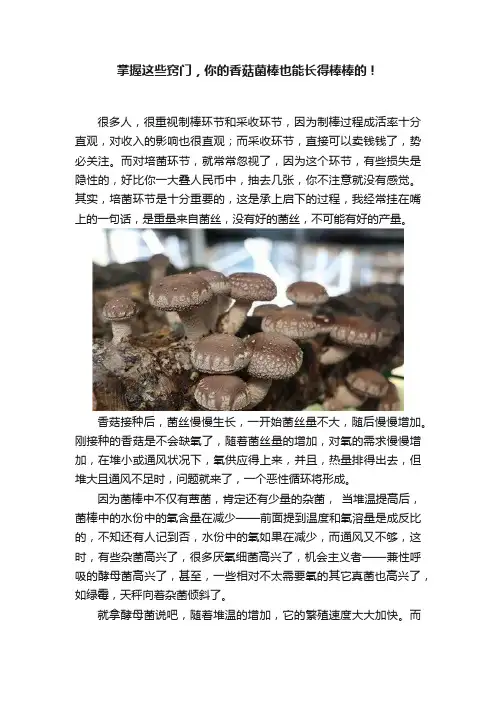 掌握这些窍门，你的香菇菌棒也能长得棒棒的！