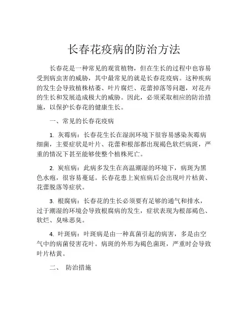 长春花疫病的防治方法