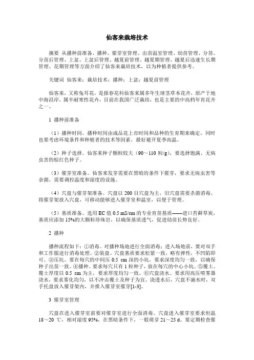 仙客来栽培技术