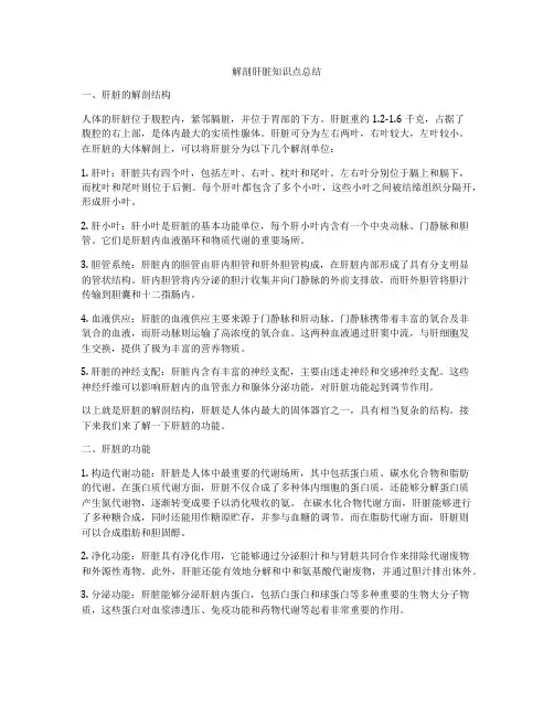 解剖肝脏知识点总结