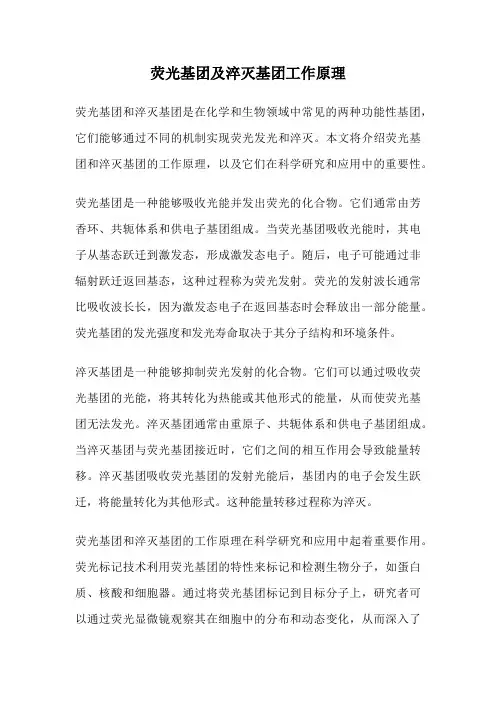 荧光基团及淬灭基团工作原理