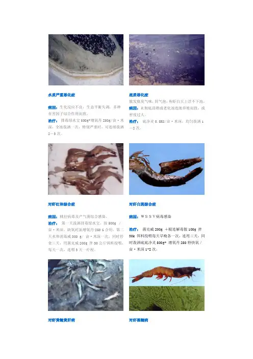 鱼病挂图
