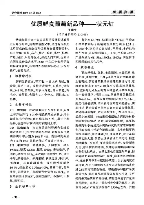 优质鲜食葡萄新品种——状元红