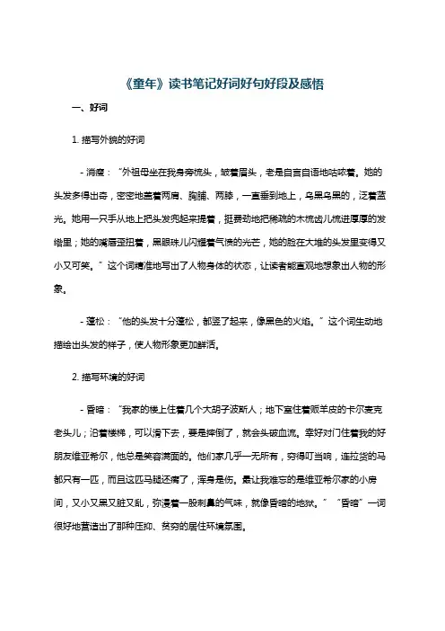 《童年》读书笔记好词好句好段及感悟